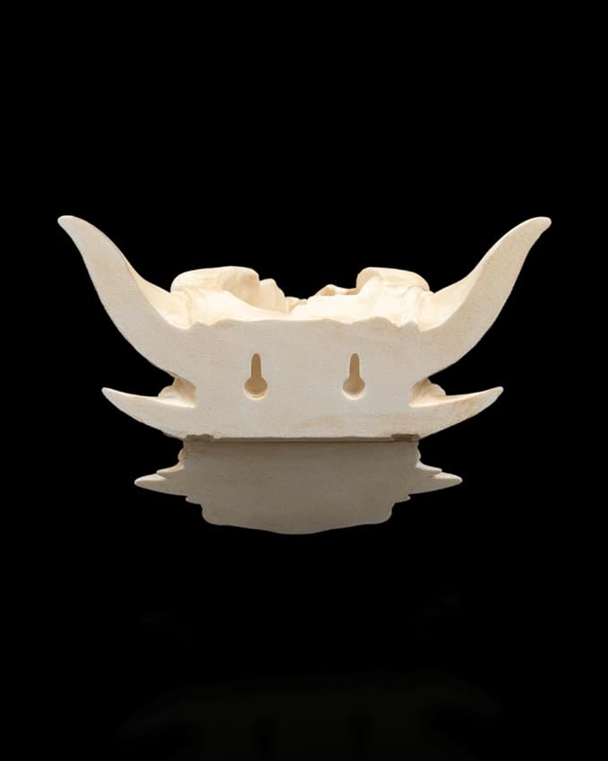 Wall Mounted Dragon Skull Planter | 3D Printed Fantasy Wall Decor | Gothic Dragon Head Plant Holder | Unique Indoor Garden Accent | Mythical Home Decor