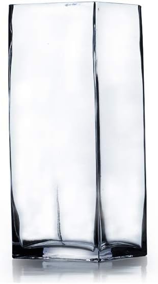 WGV Tall Square Vase Glass Block Bulk, Length 3", Height 6", Clear Bud Floral Container, Candle Holder, Planter Terrarium for Wedding Party Event, Home Office Decor, 24 Pieces