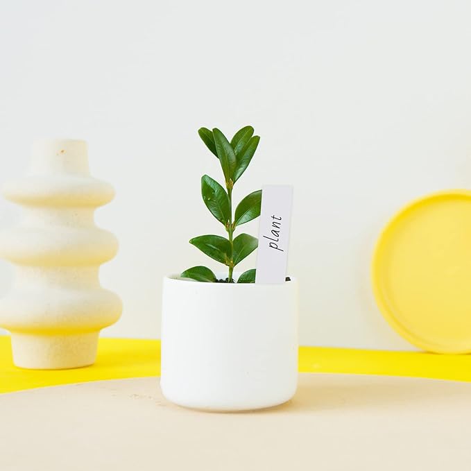 KINGLAKE GARDEN Plant Labels,200 Pcs Waterproof Plant Tags Garden Markers,Plastic Garden Labels for Outdoor Indoor Potted Plants with Permanent Marking Pen
