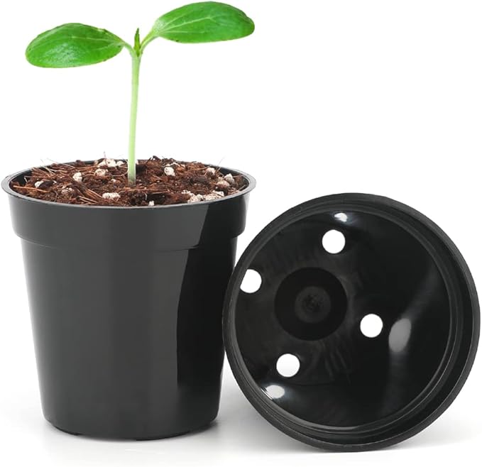 KINGLAKE GARDEN Small Black Plastic Pots,50 Packs 2 Inch Small Plant Pots with Drainage Holes,Mini Nursery Plastic Plant Planters for Succulents,Indoor Outdoor Plant