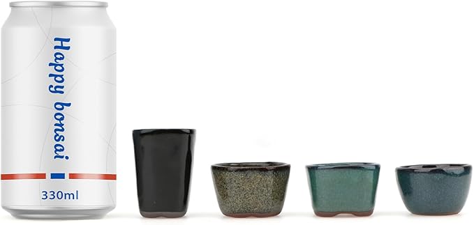 Bonsai Planter 8/12/20 pc Mini Glazed Pots Succulent 1.6 Inch