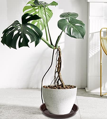 6 Pack Plant Saucer Tray, 4 6 8 10 12 15 16 18 20 inch Plant Saucers for Indoors, Durable Plastic Flower Planter Plant Water Drip Trays Round, Pot Saucers, Plant Trays for Pots (6", Brown)