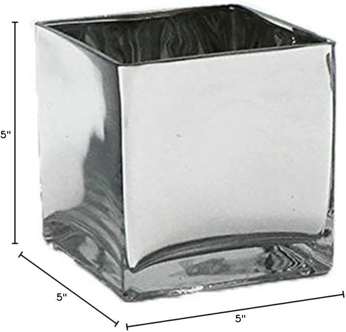 WGV Cube Glass Vase, Candle Holder, 5"x5"x5", Silver Elegant Floral Accent Container Planter Terrarium Storage for Wedding Party Ceremony Event Office Home Decor, 1 Piece