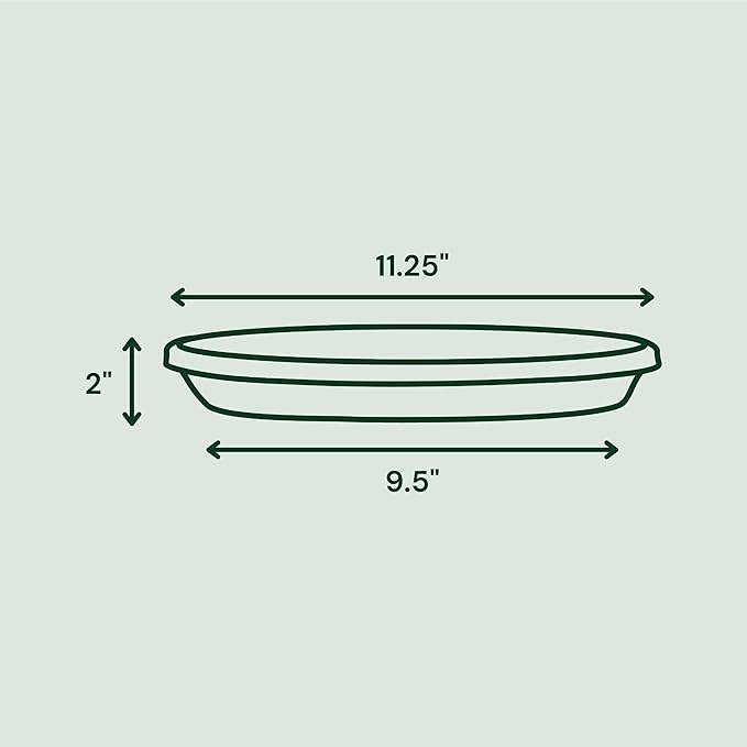 Bloem Terra Resin Saucer Tray: 9.25" Bottom Width - Basil Green - Matte, Durable, Ribbed Bottom, Indoor and Outdoor, Fits 12" Terra Pots