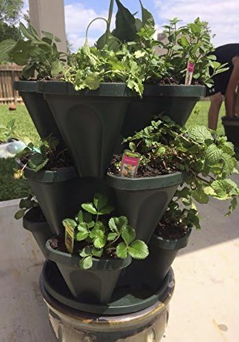 Mr. Stacky Self Watering 3 Tier Stackable Garden Vertical Plastic Planter Set, Hunter Green