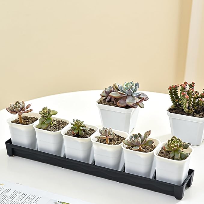 5 PCS Plastic Plant Tray Saucer Rectangular, Windowsill Plant Drainage Stand for Indoors Outdoor, Black Water Drip Tray for Flower Pot Planter, 16 x 4.5 x 1.6 Inch