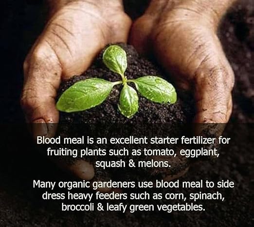 ππππππππππ Organic Blood Meal Fertilizer by Gardenera - 12-0-0 NPK - All-Natural Plant Food Source of Nitrogen for Organic Gardening, Flowers, Vegetables, Trees & Shrubs - 2 QUARTS