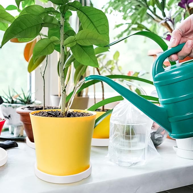 Round 4 Inch Ceramic Plant Saucer Drip Tray Set of 2 for Indoor Small Flower Pots Home Garden Outdoor Flower Plant Pot,White Saucers