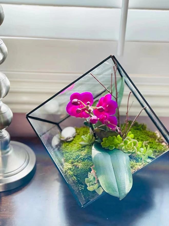 WGV Geometric Planter Terrarium, Width 11.5" Height 12" Clear Glass Black Frame DIY Succulent air Plant Miniature Fairy Garden Windowsill Tabletop Decor, Tilted Cube 1 Piece