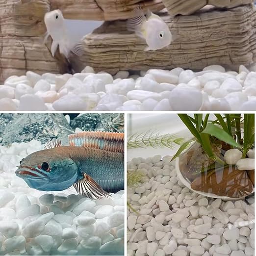10lb White River Rocks, 5/8 Inch Natural Pebbles for Indoor Plants, Snow White Decorative Stones, Ideal for Fish Tank, Vases, Crafting, Home Decor and Garden Landscaping Rocks