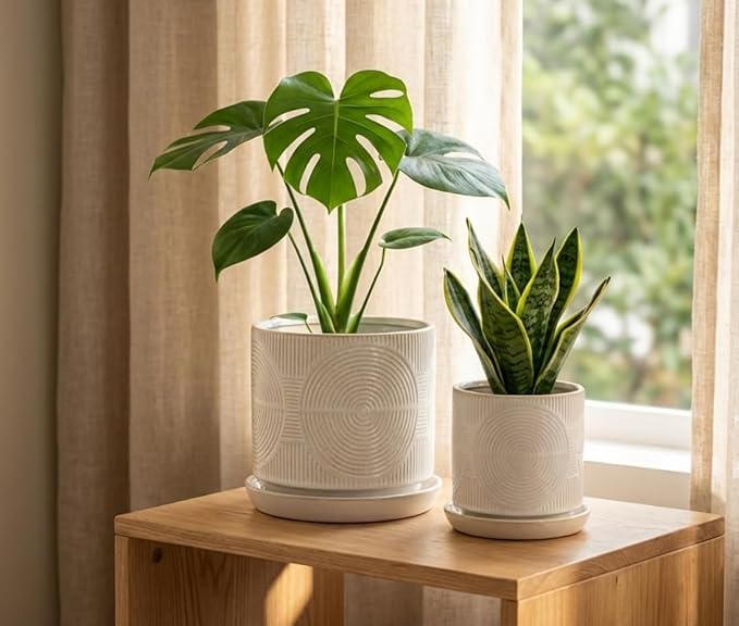 Ceramic Plant Pots, Set of 2, Pots for Plants(4.5+5.5inch), Flower Pots for indoor planters with drainage and tray, Indoor Plant Pots for Succulents Cactus Herbs - Small Planters for Home Office Decor