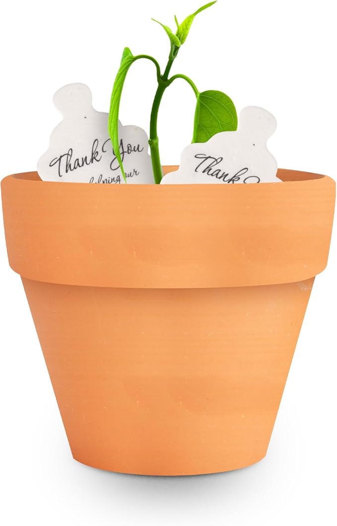 12pcs Mini Orange Pots – Small Pots for Indoor or Outdoor Plants, Mini Planters for Flowers and Greenery, for Plant Lovers