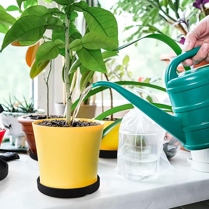 Round 4 Inch Ceramic Plant Saucer Drip Tray Set of 2 for Indoor Small Flower Pots Home Garden Outdoor Flower Plant Pot,Black Saucers