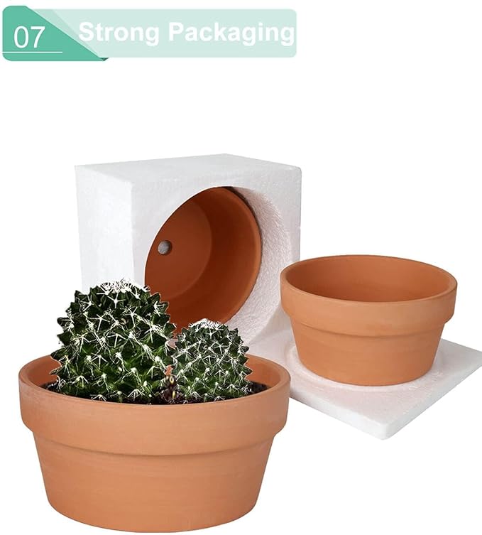 vensovo 8 Inch Terracotta Shallow Succulent Pot - 2 Pack Large Terra Cotta Clay Pot, Cacuts Indoor and Outdoor Planters with Drainage Hole