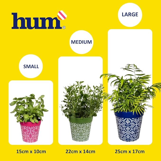 Hum Flowerpots, 10 inch Set of 3, Various Patterns Colors and Sizes, Indoor/Outdoor Plastic Plant Pots (Blue Hummingbirds)