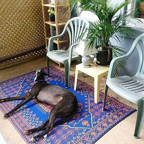 Mad Mats Traditional Outdoor Rug, Reversible Plastic Mat (5' x 8', Oriental Turkish - Blue)