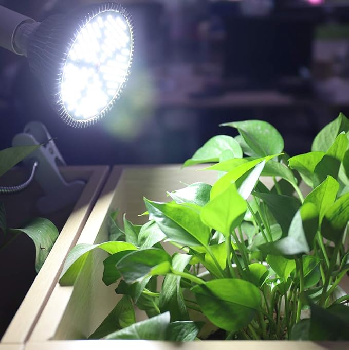 MILYN LED Grow Light Bulb for Indoor Plants Full Spectrum Pure White Grow Lamp, 2 Pack 100W E26 LED Plant Bulb for Seedlings, Flowers, Greenhouse, Vegetable, Succulent, Houseplants, Hydroponic