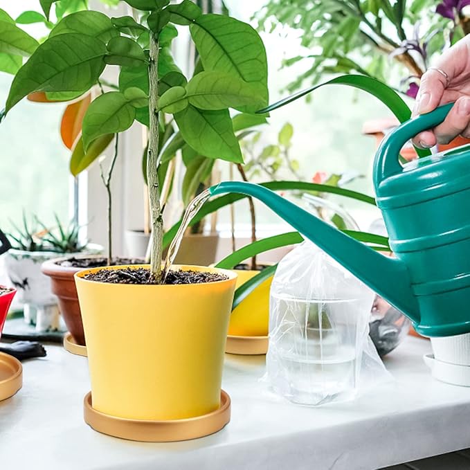 2Pcs Round 6 Inch Ceramic Plant Saucer Drip Tray for Indoor Flower Pots Home Garden Outdoor Flower Plant Pot,Gold Saucers