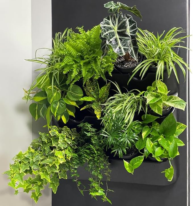 BOXSAND-12 Vertical Wall Planter (24"x26", Black with Square Pots) – Living Wall for 12 Plants, Indoor/Outdoor Vertical Garden System, Easy 2-Screw Install