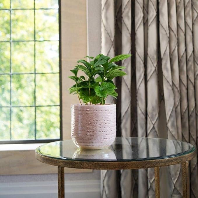 Ivyline Textured Glaze Plant Pot 13cm Dia | Contemporary Glazed Pot with Textured Crackle Design| Indoor Planter Flower Pot for Cacti Succulents and Small House Plants (Morganite)