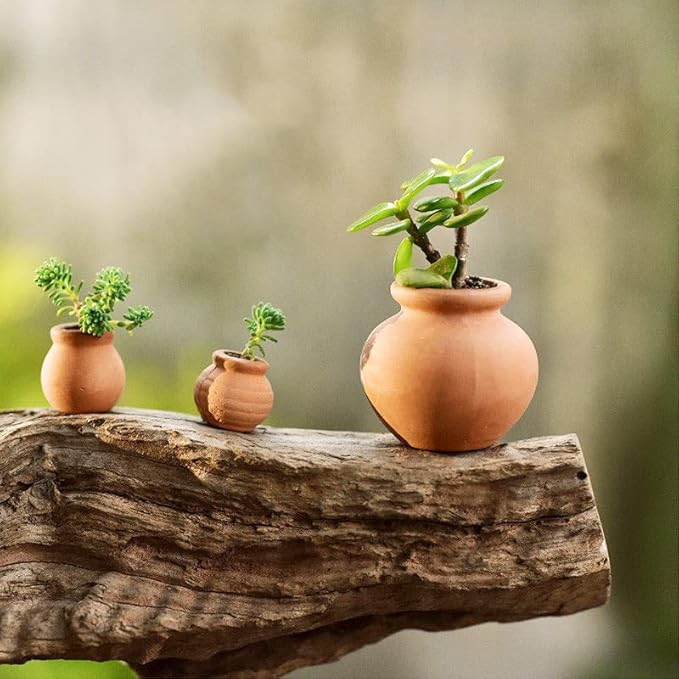 Hiawbon Miniature Tiny Clay Pots Pottery Planter Mini Flower Terra Cotta Pots for DIY Garden Plants and Office/Desktop/Windowsill Decoration,8 Pcs