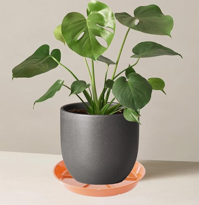 Plant Saucer Pot Tray 14 inch, 2 Packs Flower Planter Saucers and Drip Trays, Heavy Duty Round Plastic Flower Plant Dish Pant Plate to Catch Water for Indoor & Outdoor, Terracotta