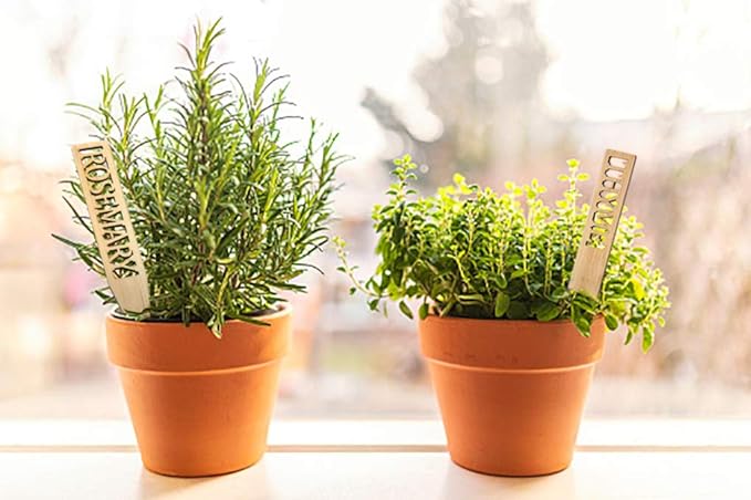 Bamboo Herb Markers - Set of 12 Beautiful Garden Labels - Sturdy Outdoor Garden or Potted Herb Markers
