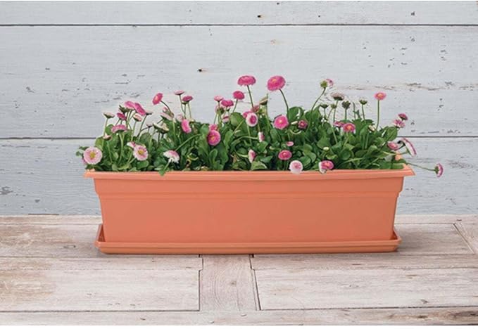 Root & Vessel 10245, Terracotta, Countryside Flower Box Tray, Medium (22.25" x 6.5")