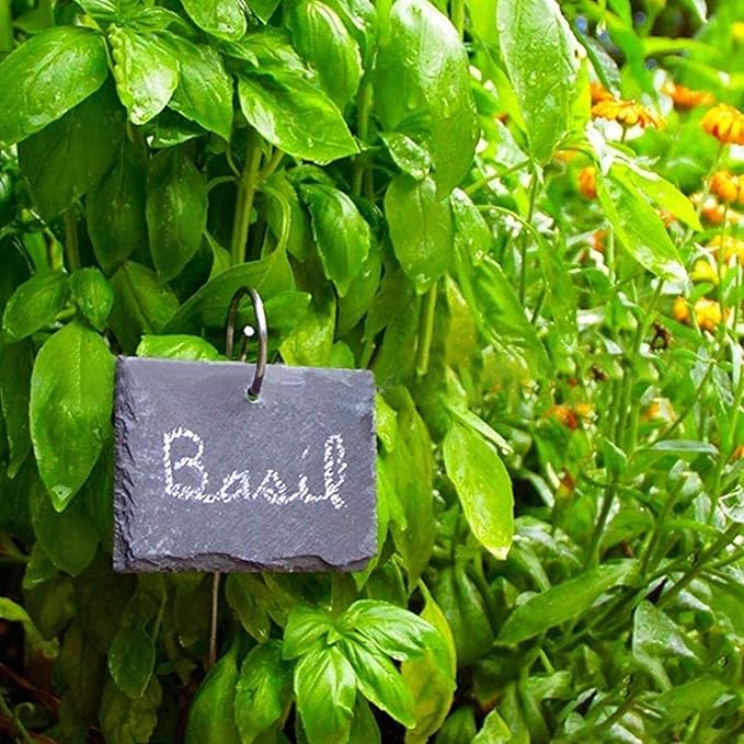20 Pcs Silver 20cm Plant Label Hooks, Garden Markers Stake, Plant Sign Stake Rustproof Deformed Garden Plant Sign Hooks Hanging Rods for Flower, Planter, Plant Container Accessories