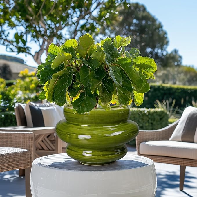 Ceramic Planters Bonsai 10.6 Inch - Planters with Drainage Hole, Flower Pots for Indoor Plants Outdoor Plants, Large Plant Pot for Home Decor, Gift for Men Women, Green