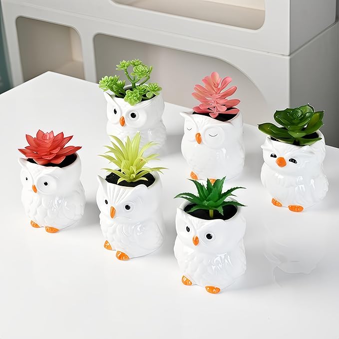 Cute Owl Ceramic Succulent Garden Pots, Planter with Drainage and Attached Saucer, Set of 6, Desk & Home Décor -Plants Not Included
