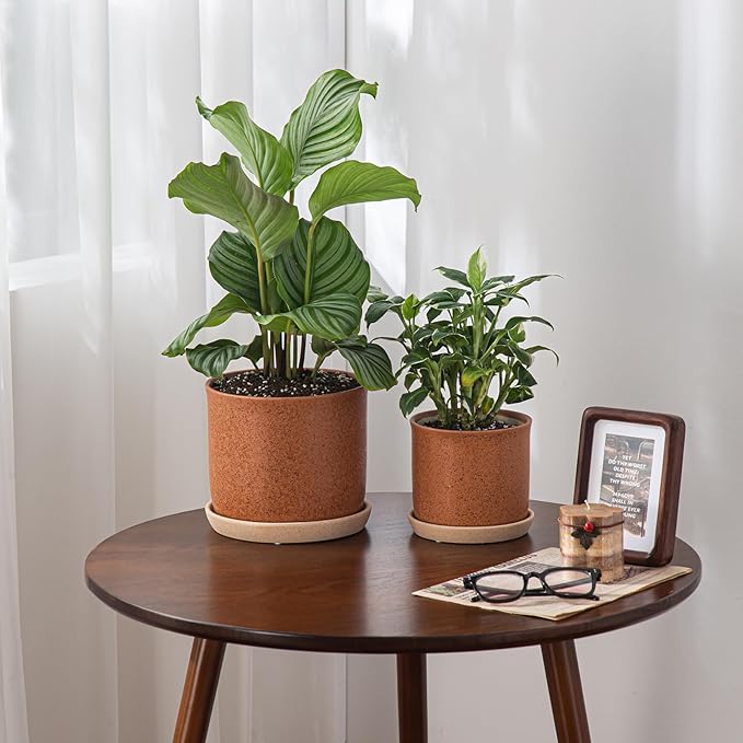 6 Inch Plant Pot: Ceramic Planter with Drainage Hole & Saucer - Flowerpot for Indoor & Outdoor Plants with Separate Tray for Home & Office - Terracotta