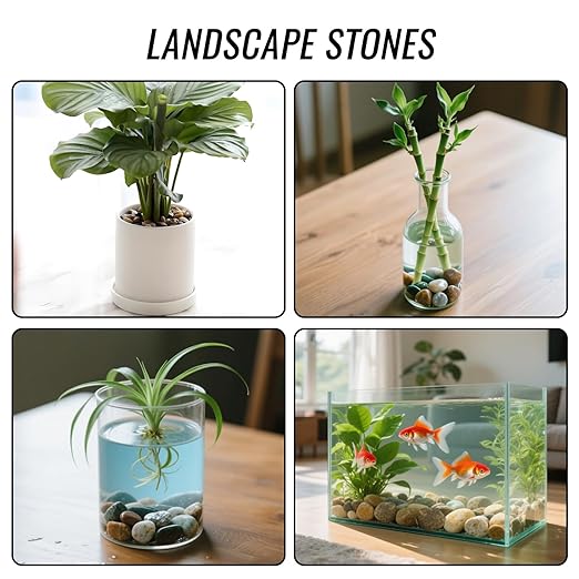 RITOLLO River Rocks Pebbles for Indoor Plants 3/8-1 Inch Natural Aquarium Gravel Decorative Fish Tank Rocks Garden Landscaping Decor