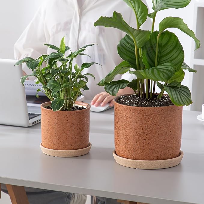 8 Inch Plant Pot: Ceramic Planter with Drainage Hole & Saucer - Flowerpot for Indoor & Outdoor Plants with Separate Tray for Home & Office - Terracotta
