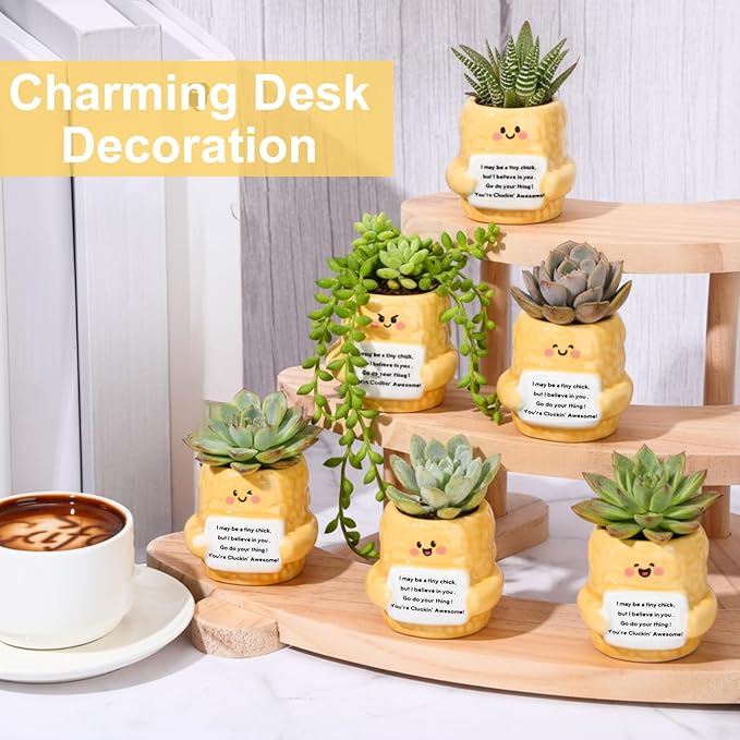 6 Pack 2.5 Inch Chicken Ceramic Succulent Planter Pots with Drainage Hole, Mini Cute Flower Pots Container for Home Office Garden Decoration Emotional Support Buddies Christmas Housewarming Gifts
