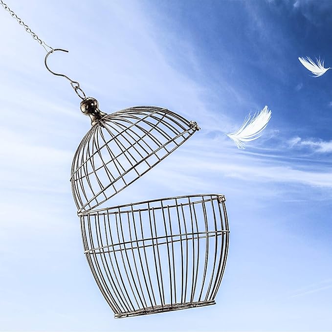 Outus 4 Pack 19. 7 Inch White Hanging Chain for Bird Feeders, Planters, Lanterns, Wind Chimes, Decorative Ornaments and Birdbaths Basket Extender Chain Outdoor Indoor