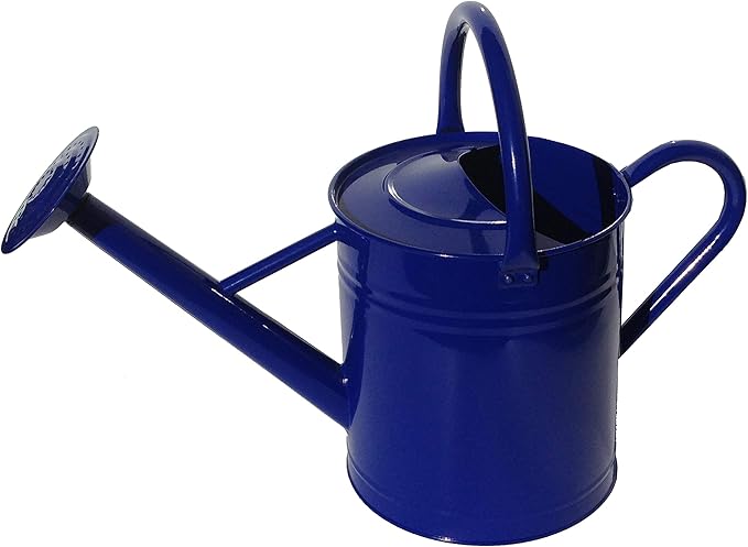 Gardener Select (AW3005PDB) Metal Watering Can - Modern Indoor & Outdoor Watering Pot with Handles for Flowers/Plants (7 Liter, Blue)