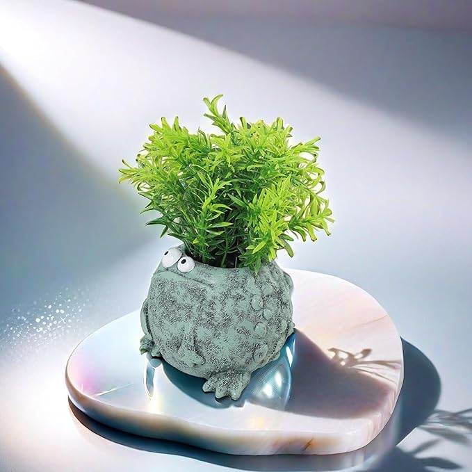 Big and Small Eye Frog Planter - Fun Succulent Planter for Indoor and Outdoor Tabletop Decorations, Wacky Frogs, Christmas/Birthday Fun Gift. (Frog B)