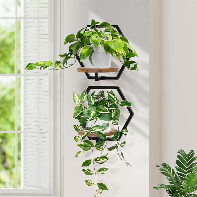 3 Packs Wall Planters for Indoor Plants, 7.9inch Metal Plant Holder Hanger Wall Decor, Mounted Hanging Window Shelves Outdoor Rack (Black Wooden Base)