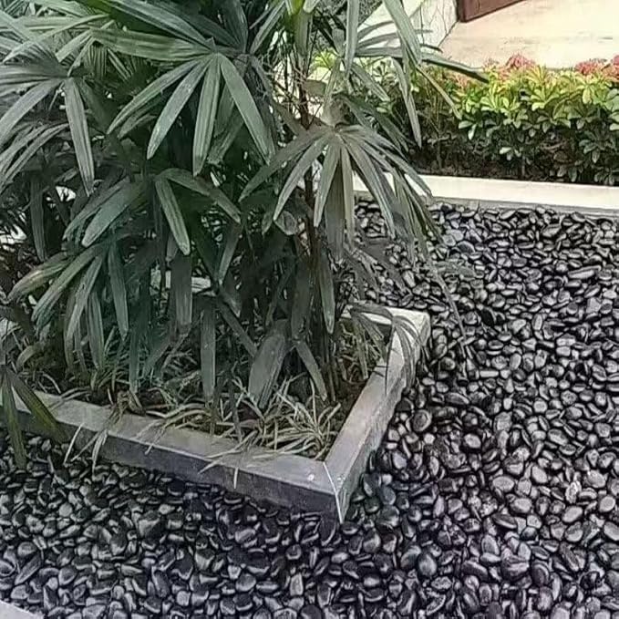 SOUJOY 15LBS Black River Rock, 1-2 Inch Pebbles for Plants, Natural Polished Decorative Stone for Landscaping Outdoor, Flower Bed Fish Tank Gravel Garden Home Decor