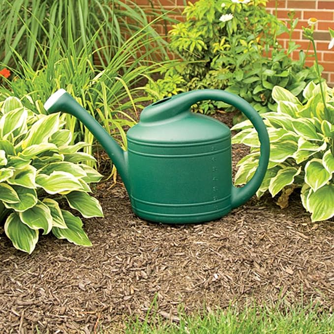 Southern Patio Large 2 Gallon Durable Plastic Rainfall Garden Plant Water Can with Removable and Easy to Fill Spout, Green (2 Pack)