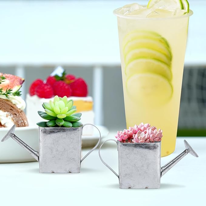Mini Decorative Watering Can, Square Design, Set of 6, Silver Metal,Height 2.05 inch, Cute Metal Jug for Hand Crafts,Garden Theme Parties,Refrigerator and Home Decor (6, Silver)