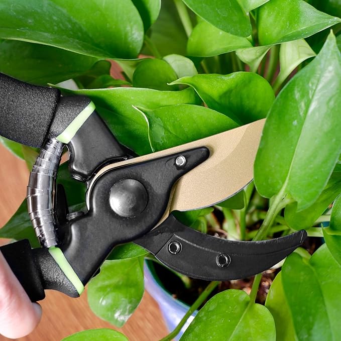 Premium Titanium Bypass Pruning Shears, Heavy Duty Ultra Sharp Garden Scissors, Professional Hand Pruners, Tree Trimmers, Hedge Clippers, Garden Shears and Rose Clippers Tools for Gardening