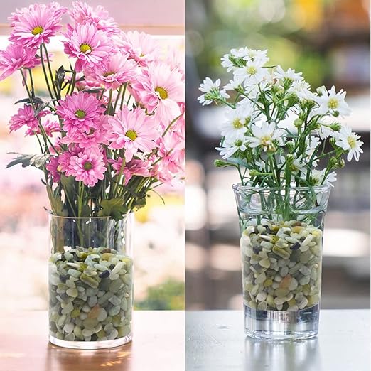 5LB Succulent and Cactus Jade Pebbles, 3/8 Inch Natural Decorative Polished Stones, River Rocks for Indoor Plants, Vases, Planters and Outdoor Gardening