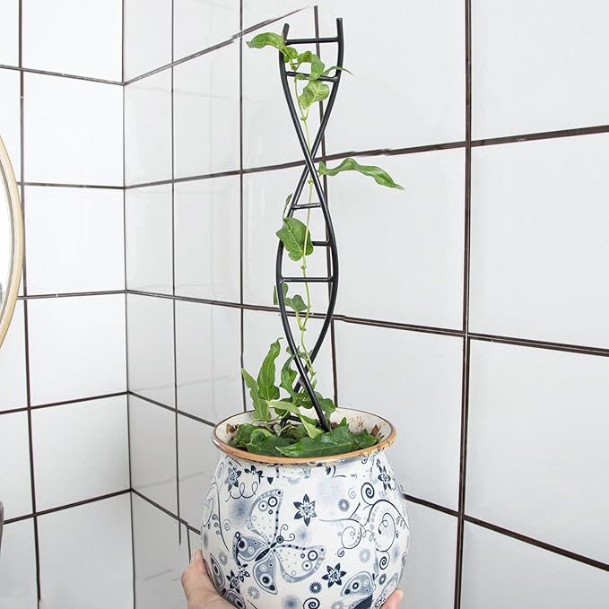 3 Pcs Indoor Plant Trellis Set - Black Metal DNA Design for Potted Plants, Small Houseplants & Climbing Support - Modern Home Decor & Vertical Garden Display - Perfect for Indoor & Outdoor Use