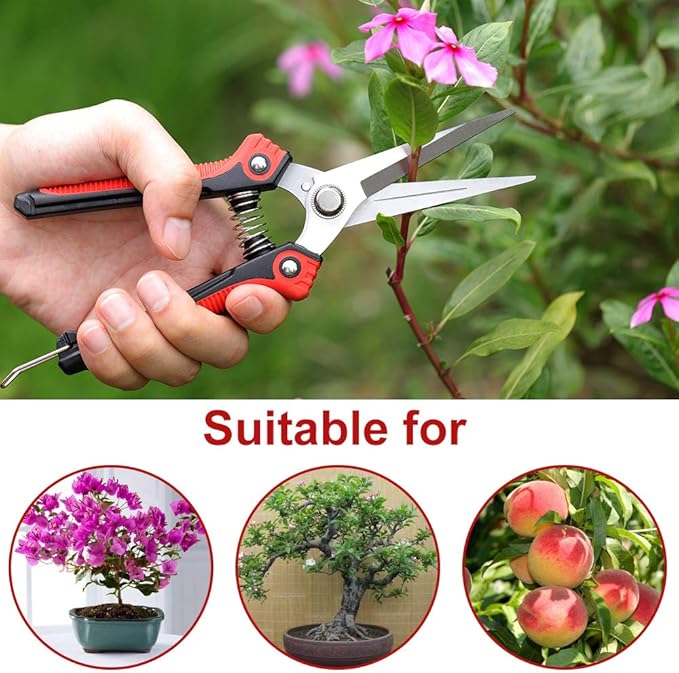 WYF Pruning Scissors, Professional Garden Shears - Straight Stainless Steel Blades - Sharp Gardening Hand Pruner for Garden Harvesting Fruits, Vegetables, Trimming Flowers and Plants, 8.1IN(Red)