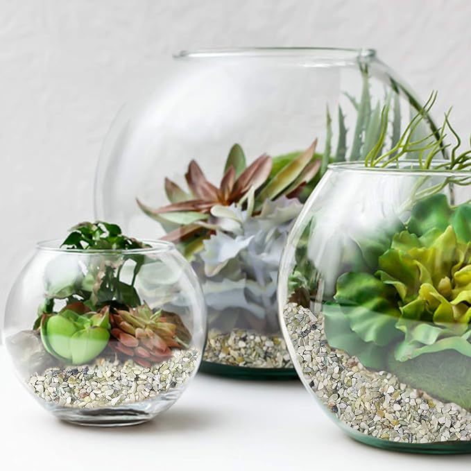 Succulent and Cactus Bonsai DIY Rocks, Jade Bean Pebbles, Natural Decorative Polished Stones Vase Fillers Gravel for Plants,Terrarium, Fairy Gardening, Indoor Outdoor Decor Ornamental Stones.