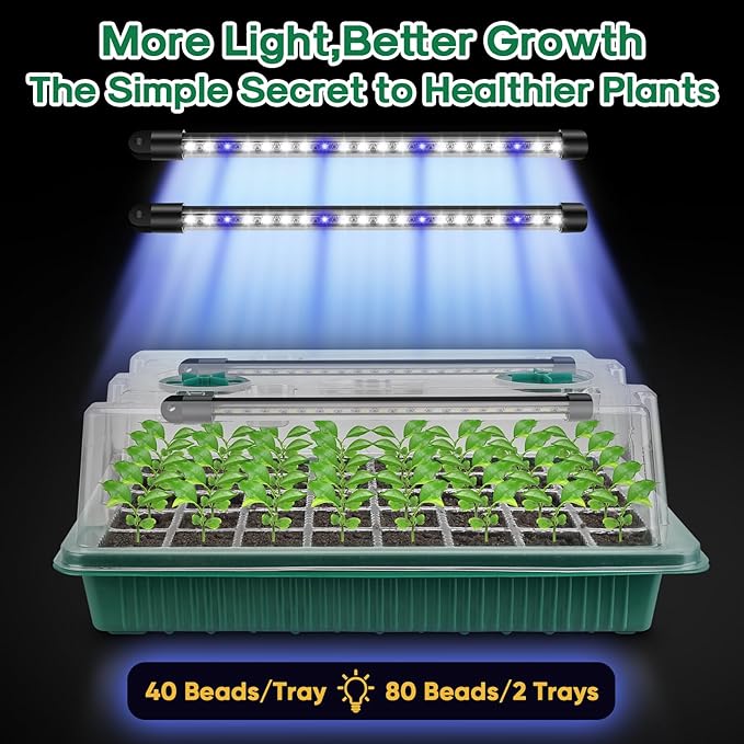 BlumWay Seed Starter Tray with Grow Light,2 Pack 80 Cells Seedling Tray Kit with Humidity Dome/Indoor Plant Starter Kit, Adjustable Brightness Plant Germination Trays