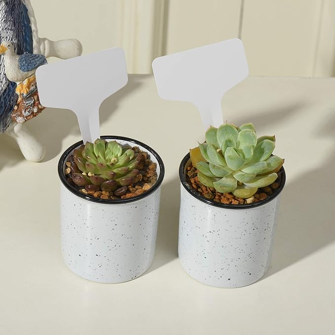 100 Pcs T-Type Plant Labels with a Gel Pen, Waterproof Nursery Plant Tags Plastic Garden Markers, White, 6 x 10cm