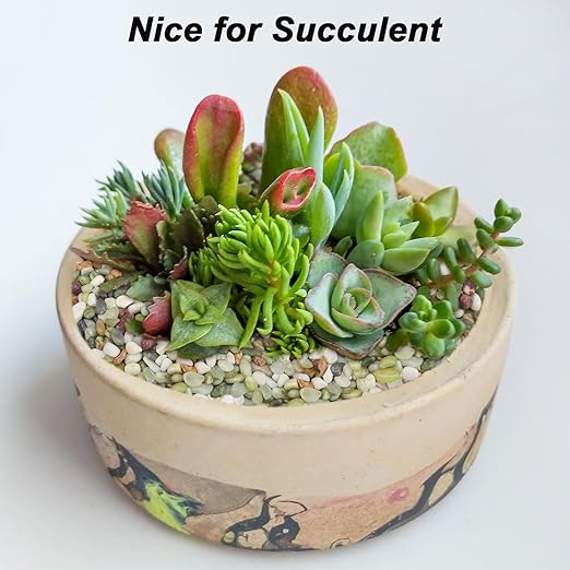 Landscaping Pebbles River Rocks Decorative Ornamental Pebbles Garden Landscaping Stones Gravel Filler for Home Decoration Flower Bed Fish Tank Plants Vases Succulents (1, Green, 10 Pounds)